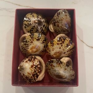 6 Seashell napkin rings. Purchased in the Philippines. These are in EUC boho!